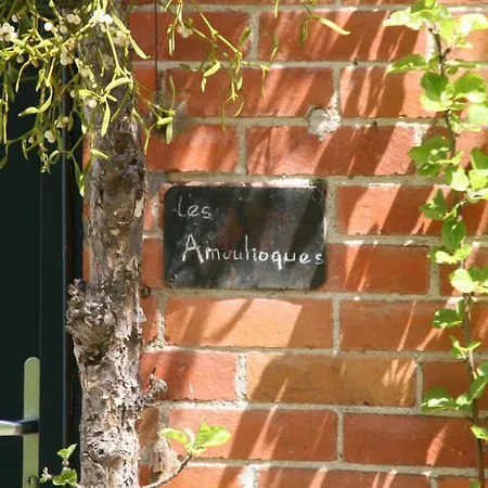 Les Amouhoques Willa